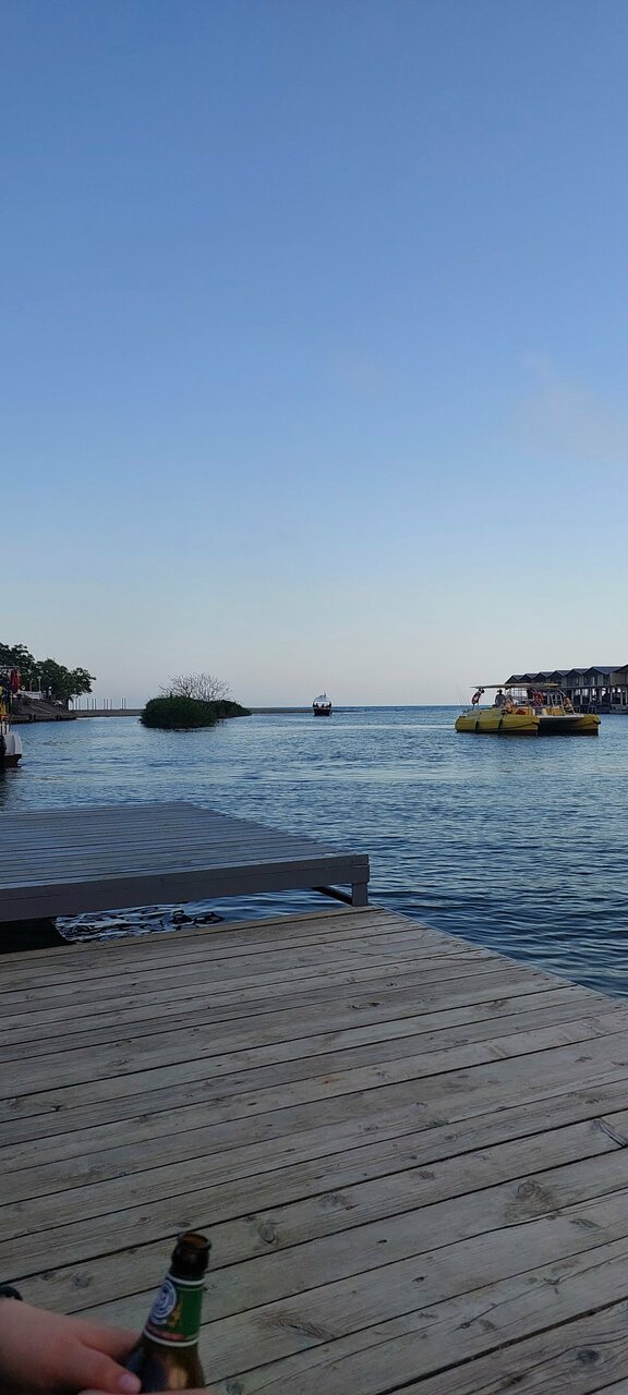 Гостевой дом Золотой Каштан Архипо-Осиповка-32